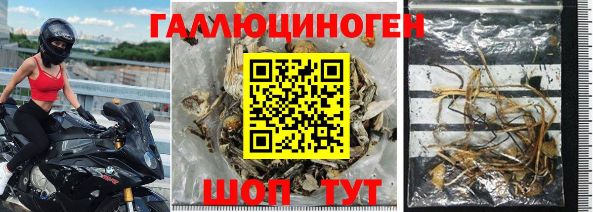 Калуга  где продают наркотики  Вход с VPN  Галлюциногенные грибы MAGIC MUSHROOMS 